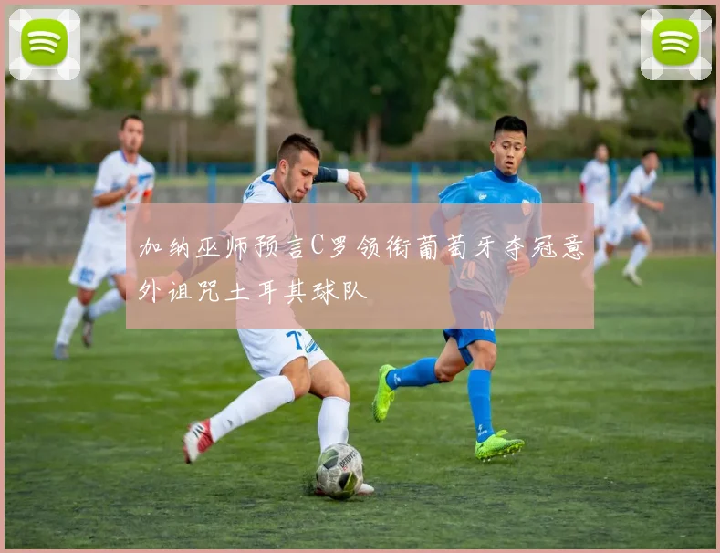 加纳巫师预言C罗领衔葡萄牙夺冠意外诅咒土耳其球队