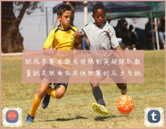 欧冠参赛名额或将限制英超球队数量欧足联面临其他联赛的压力与挑战